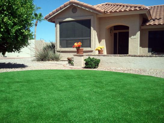 Artificial Grass Photos: Synthetic Grass Cost Condon, Oregon Gardeners, Front Yard Landscape Ideas