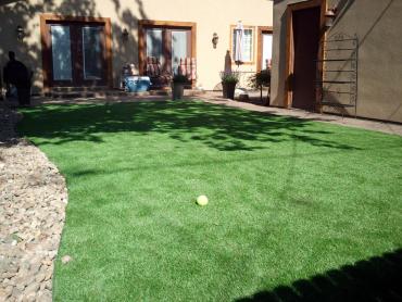 Artificial Grass Photos: Synthetic Grass Cost Days Creek, Oregon Gardeners, Backyard Ideas