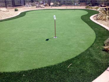 Artificial Grass Photos: Synthetic Grass Cost Falls City, Oregon Putting Green Flags, Backyard Designs