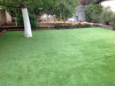 Artificial Grass Photos: Synthetic Grass Cost Government Camp, Oregon City Landscape, Beautiful Backyards