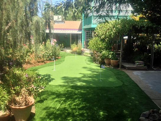 Artificial Grass Photos: Synthetic Grass Cost Heppner, Oregon Lawn And Garden