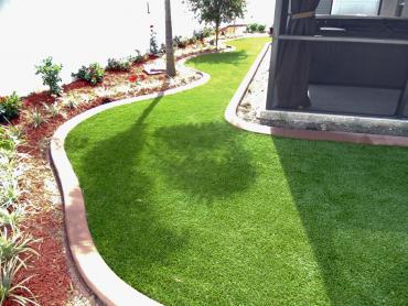 Artificial Grass Photos: Synthetic Grass Cost Irrigon, Oregon Roof Top, Backyard Ideas