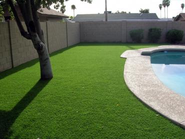 Artificial Grass Photos: Synthetic Grass Cost Labish Village, Oregon Home And Garden, Backyard Ideas