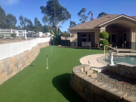 Artificial Grass Photos: Synthetic Grass Cost Long Creek, Oregon City Landscape, Beautiful Backyards