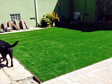 Artificial Grass Photos: Synthetic Grass Cost Mount Hood Village, Oregon Dog Pound, Backyard