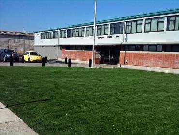 Artificial Grass Photos: Synthetic Grass Cost Saint Paul, Oregon Paver Patio, Commercial Landscape