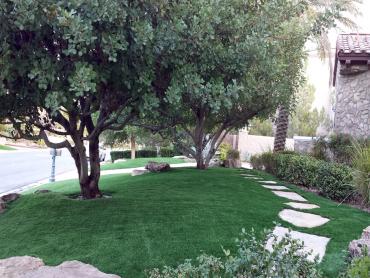 Artificial Grass Photos: Synthetic Grass Cost Stanfield, Oregon Roof Top, Front Yard Landscape Ideas