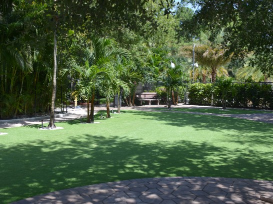 Artificial Grass Photos: Synthetic Grass Cost Veneta, Oregon City Landscape, Commercial Landscape