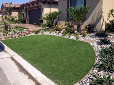 Artificial Grass Photos: Synthetic Grass Cost Wamic, Oregon Design Ideas, Landscaping Ideas For Front Yard