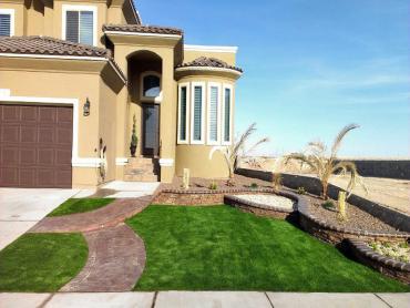 Artificial Grass Photos: Synthetic Grass Donald, Oregon Design Ideas, Front Yard Landscaping