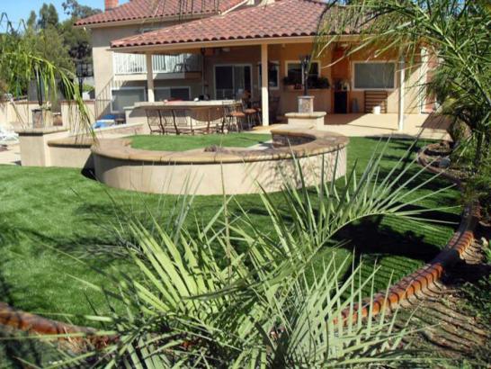 Artificial Grass Photos: Synthetic Grass Idanha, Oregon Backyard Deck Ideas, Backyard Design