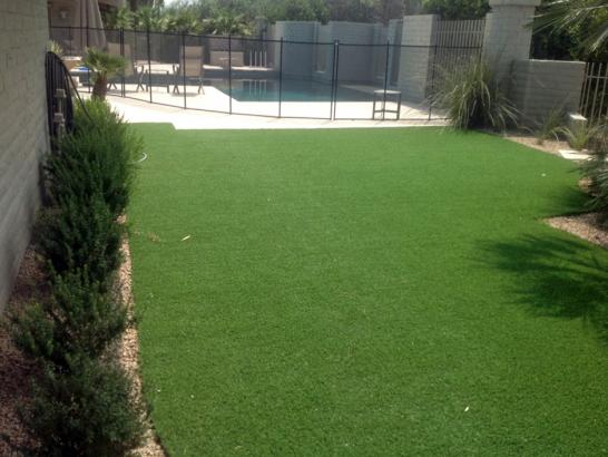 Artificial Grass Photos: Synthetic Grass Lakeside, Oregon Design Ideas, Backyard Design