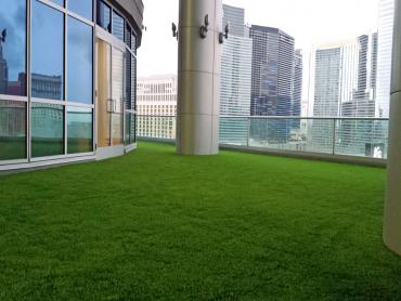 Artificial Grass Photos: Synthetic Grass Mitchell, Oregon Design Ideas, Commercial Landscape