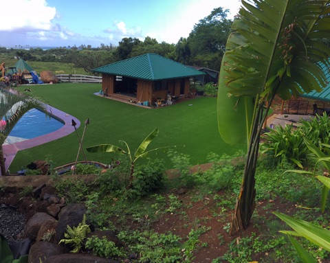 Artificial Grass Photos: Synthetic Grass Oakland, Oregon Rooftop, Swimming Pools