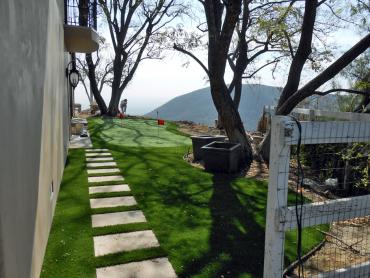 Artificial Grass Photos: Synthetic Grass Oceanside, Oregon Home Putting Green, Backyard Design