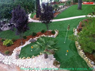 Artificial Grass Photos: Synthetic Grass Portland, Oregon Best Indoor Putting Green, Small Backyard Ideas