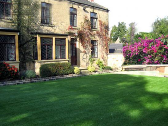 Artificial Grass Photos: Synthetic Grass Raleigh Hills, Oregon Roof Top, Front Yard Landscaping