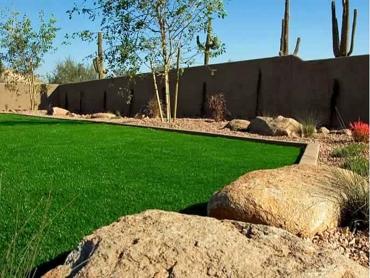 Synthetic Grass Seaside, Oregon Home And Garden, Backyard Design artificial grass