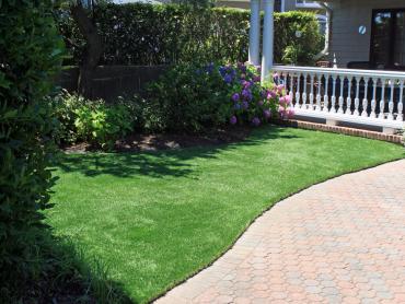 Artificial Grass Photos: Synthetic Grass Warren, Oregon Backyard Playground, Front Yard Design