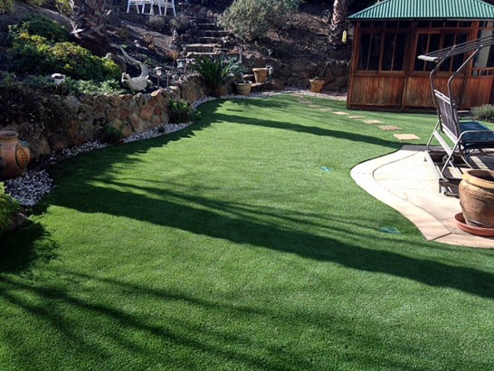 Artificial Grass Photos: Synthetic Lawn Albany, Oregon Roof Top, Beautiful Backyards