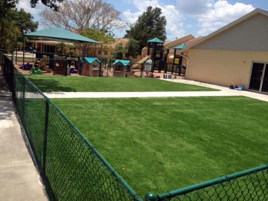 Artificial Grass Photos: Synthetic Lawn Aurora, Oregon Kids Indoor Playground, Commercial Landscape
