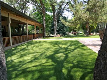 Artificial Grass Photos: Synthetic Lawn Coos Bay, Oregon City Landscape, Backyard Landscaping