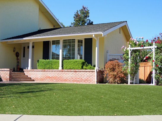 Artificial Grass Photos: Synthetic Lawn Corvallis, Oregon Garden Ideas, Front Yard Landscape Ideas