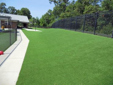Artificial Grass Photos: Synthetic Lawn Crawfordsville, Oregon Backyard Playground, Commercial Landscape