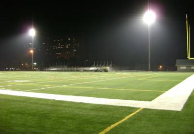 Artificial Grass Photos: Synthetic Lawn Mehama, Oregon Red Turf