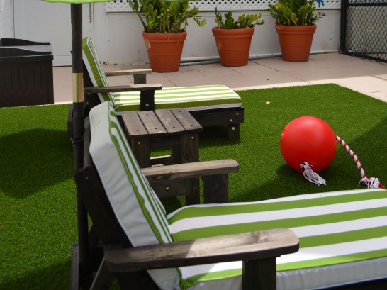 Artificial Grass Photos: Synthetic Lawn Monroe, Oregon Garden Ideas, Patio