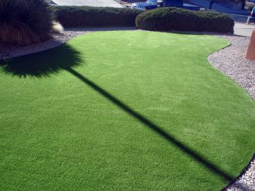 Artificial Grass Photos: Synthetic Lawn Oakridge, Oregon Backyard Playground, Front Yard Landscaping Ideas