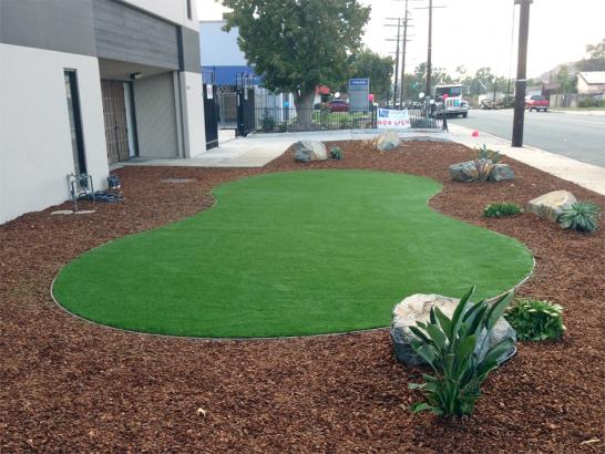 Artificial Grass Photos: Synthetic Lawn West Slope, Oregon Garden Ideas, Commercial Landscape