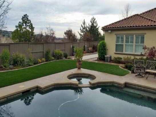 Artificial Grass Photos: Synthetic Lawn Westport, Oregon Backyard Deck Ideas, Swimming Pool Designs