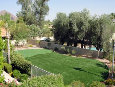 Artificial Grass Photos: Synthetic Lawn Yachats, Oregon Landscape Photos, Backyard Designs