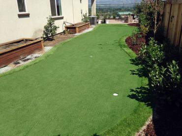 Artificial Grass Photos: Synthetic Turf Bandon, Oregon Home Putting Green, Beautiful Backyards