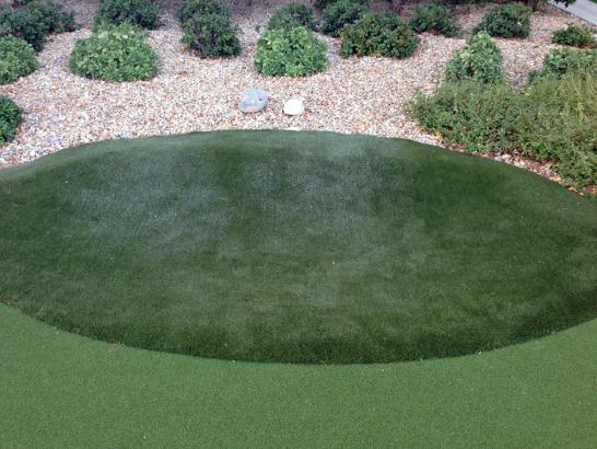 Artificial Grass Photos: Synthetic Turf Black Butte Ranch, Oregon Home And Garden