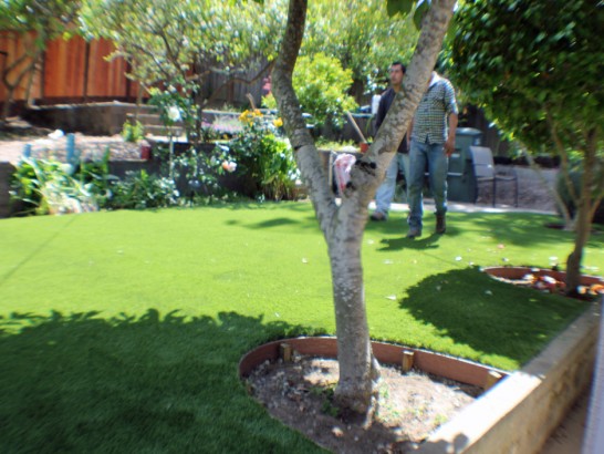 Artificial Grass Photos: Synthetic Turf Depoe Bay, Oregon Landscaping Business, Backyard Ideas