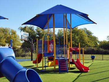 Artificial Grass Photos: Synthetic Turf Fort Hill Census Designated Place, Oregon Playground Flooring, Recreational Areas