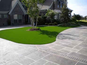 Artificial Grass Photos: Synthetic Turf Gaston, Oregon Backyard Deck Ideas, Front Yard Design