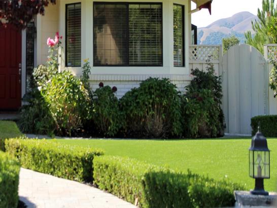 Artificial Grass Photos: Synthetic Turf Harrisburg, Oregon Landscape Ideas, Front Yard Ideas