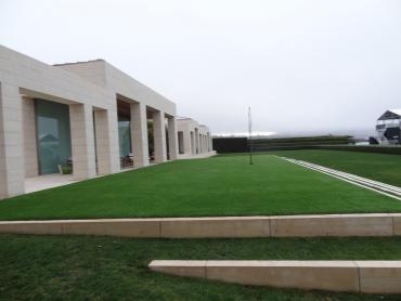 Artificial Grass Photos: Synthetic Turf Johnson City, Oregon Landscaping Business, Commercial Landscape