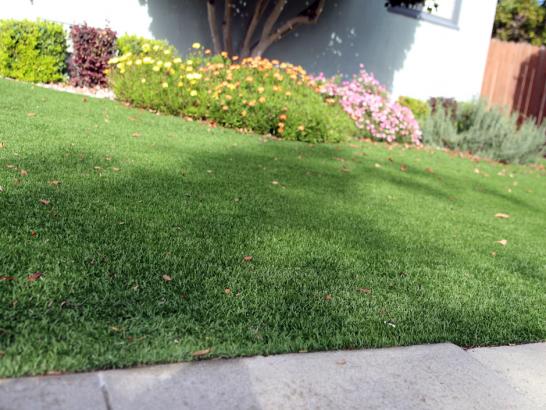 Artificial Grass Photos: Synthetic Turf King City, Oregon Lawns, Landscaping Ideas For Front Yard