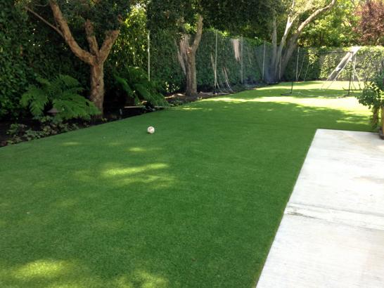 Artificial Grass Photos: Synthetic Turf Lincoln Beach, Oregon Landscape Rock