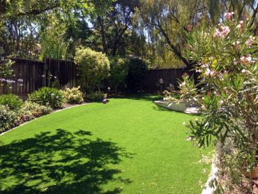 Artificial Grass Photos: Synthetic Turf Lyons, Oregon Lawn And Garden, Backyard Landscape Ideas