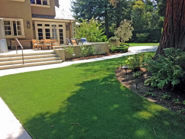 Artificial Grass Photos: Synthetic Turf Moro, Oregon Design Ideas, Beautiful Backyards