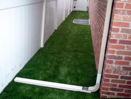 Artificial Grass Photos: Synthetic Turf Peoria, Oregon Design Ideas, Backyards