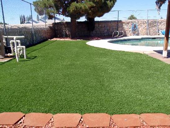 Artificial Grass Photos: Synthetic Turf Stafford, Oregon Lawn And Landscape, Above Ground Swimming Pool