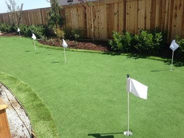 Artificial Grass Photos: Synthetic Turf Supplier Alsea, Oregon Lawns, Backyard