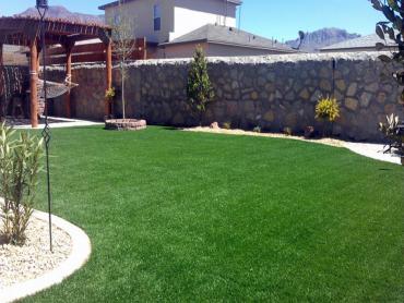 Artificial Grass Photos: Synthetic Turf Supplier Beaverton, Oregon Roof Top, Backyard Ideas