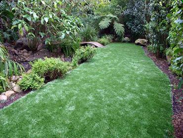 Artificial Grass Photos: Synthetic Turf Supplier Cascade Locks, Oregon Backyard Playground, Small Backyard Ideas